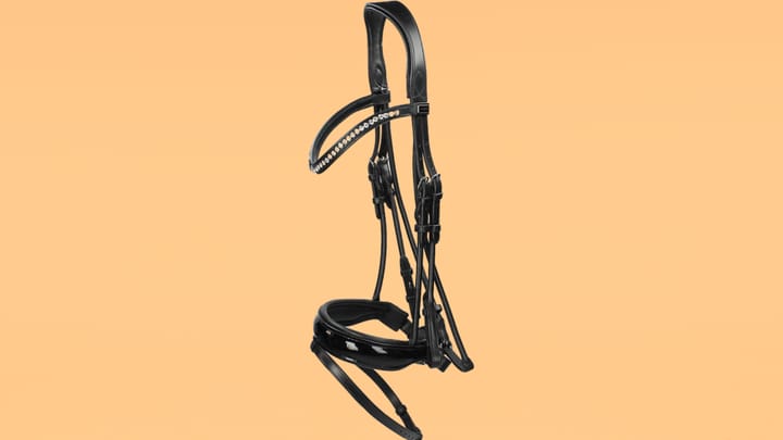Anky Hoofdstel.png Anky Hoofdstel.png