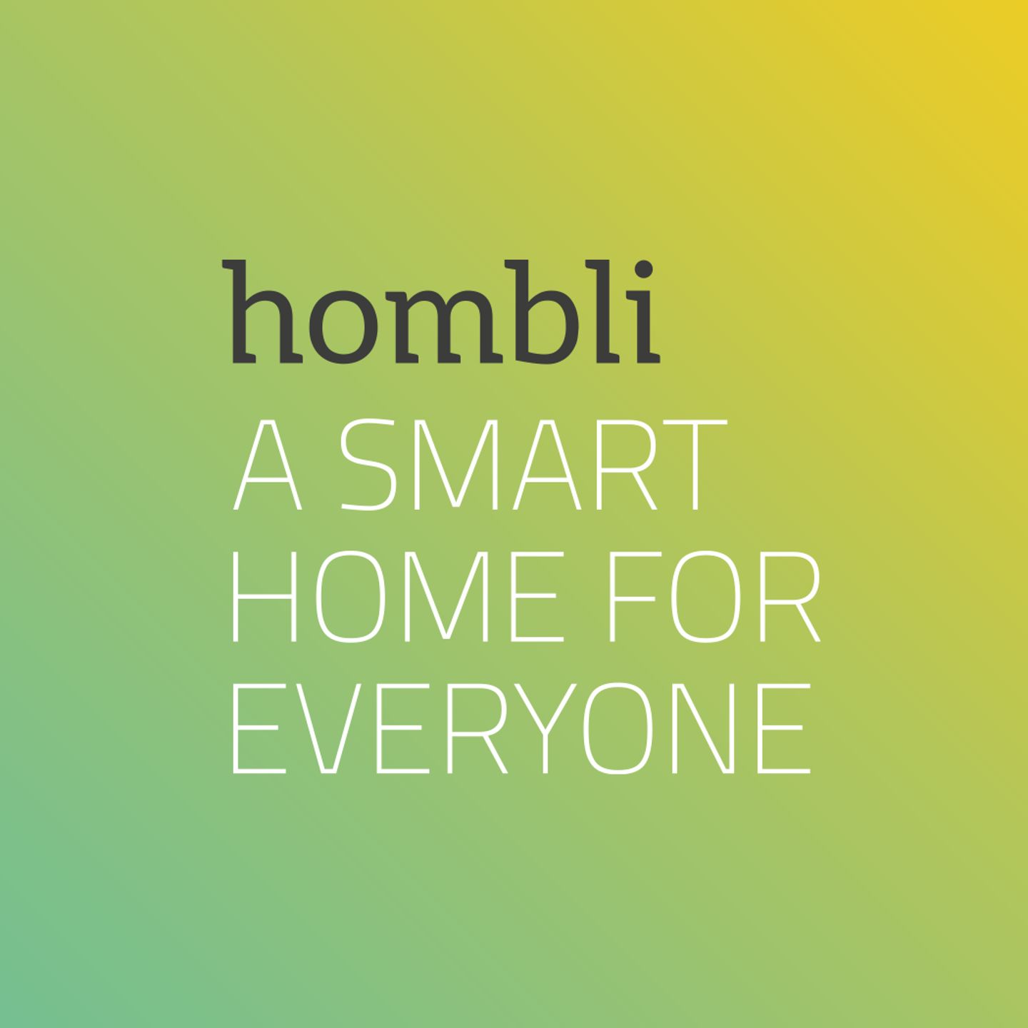 hombli-story-2.png