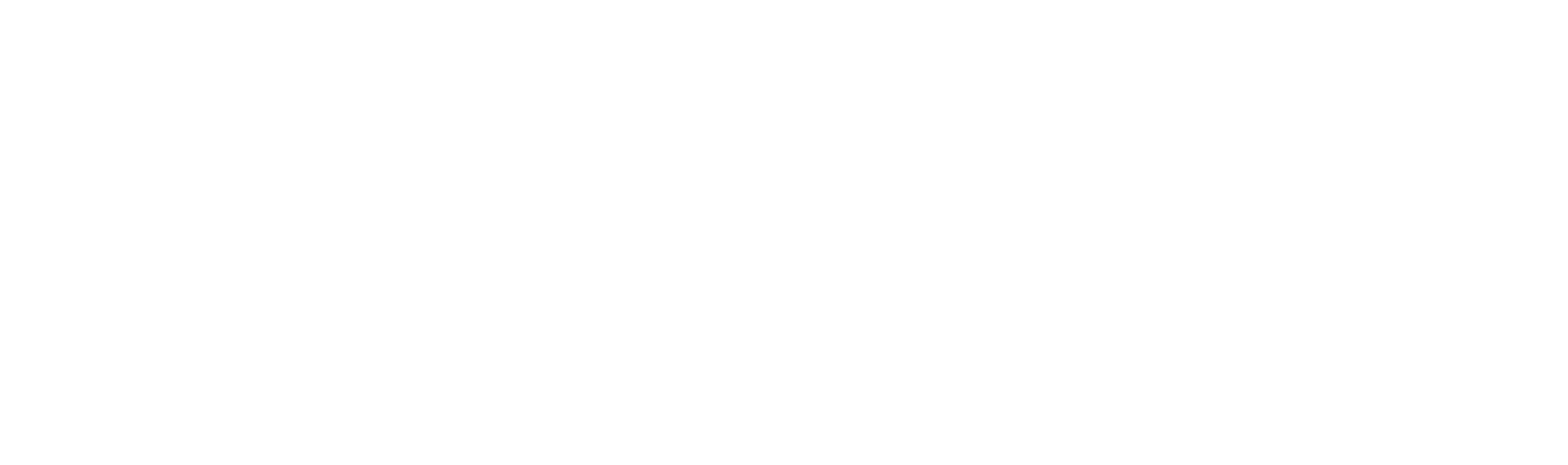 virtufit