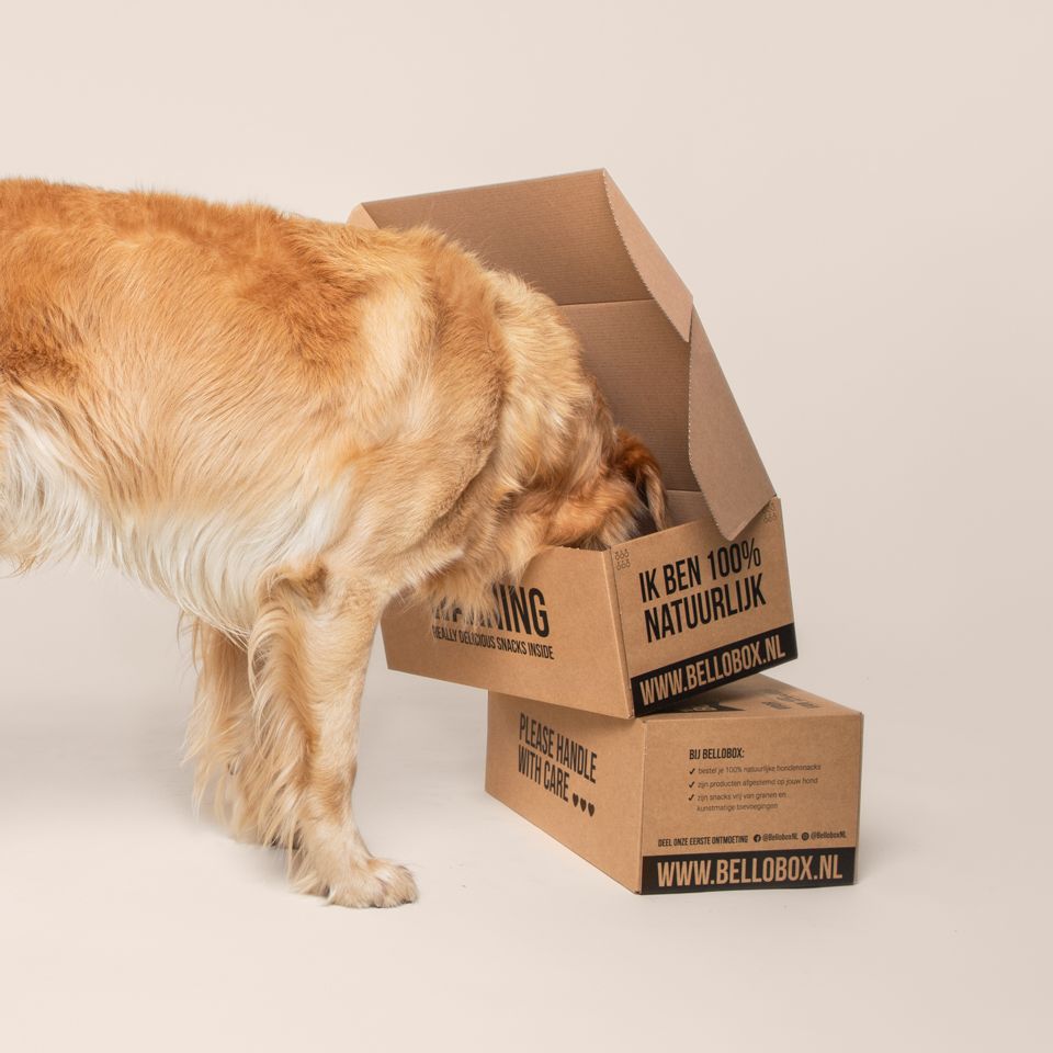 bellobox-story-1.jpeg
