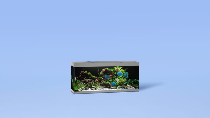 aquascaping.png aquascaping.png