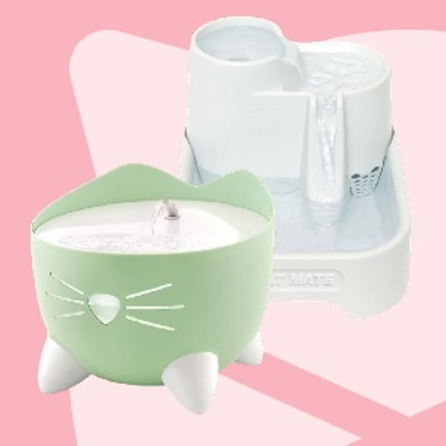 DrinkfonteinenVoorKatten_Kittenwinkel.jpg DrinkfonteinenVoorKatten_Kittenwinkel.jpg