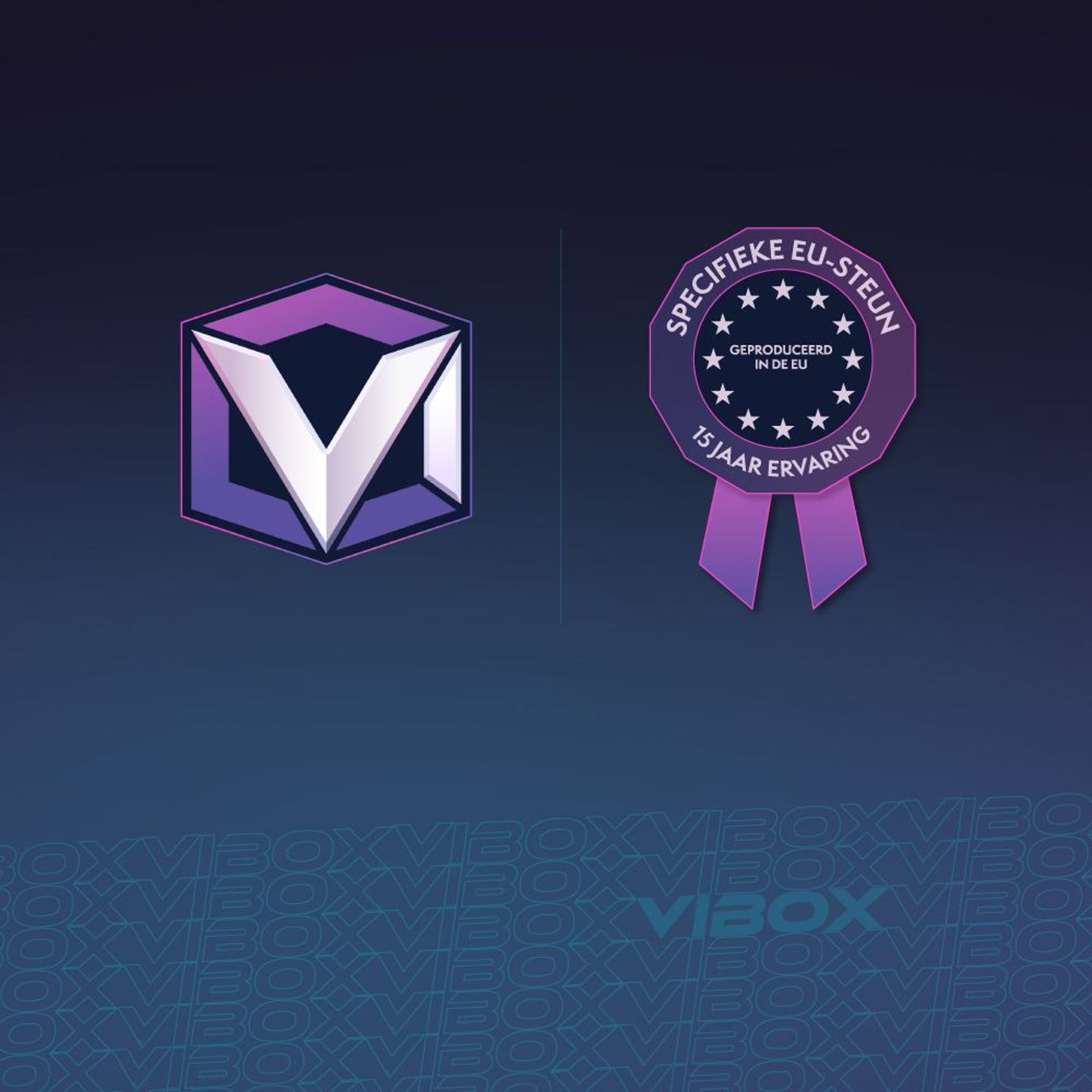 vibox-story-5.jpeg