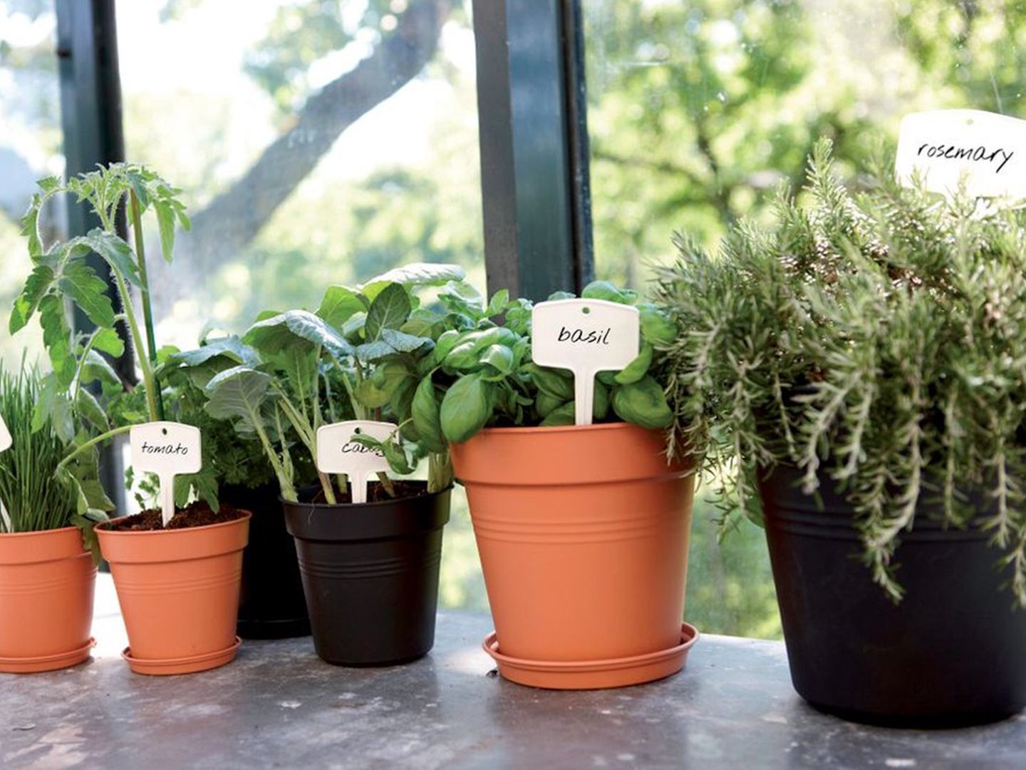 Moestuin beginnen