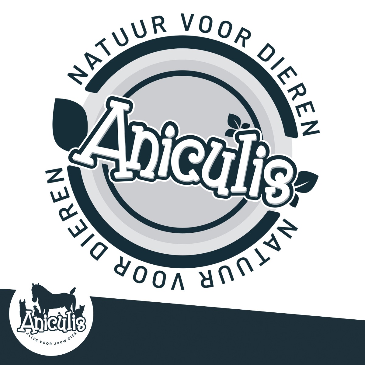 aniculis-story-3.jpg