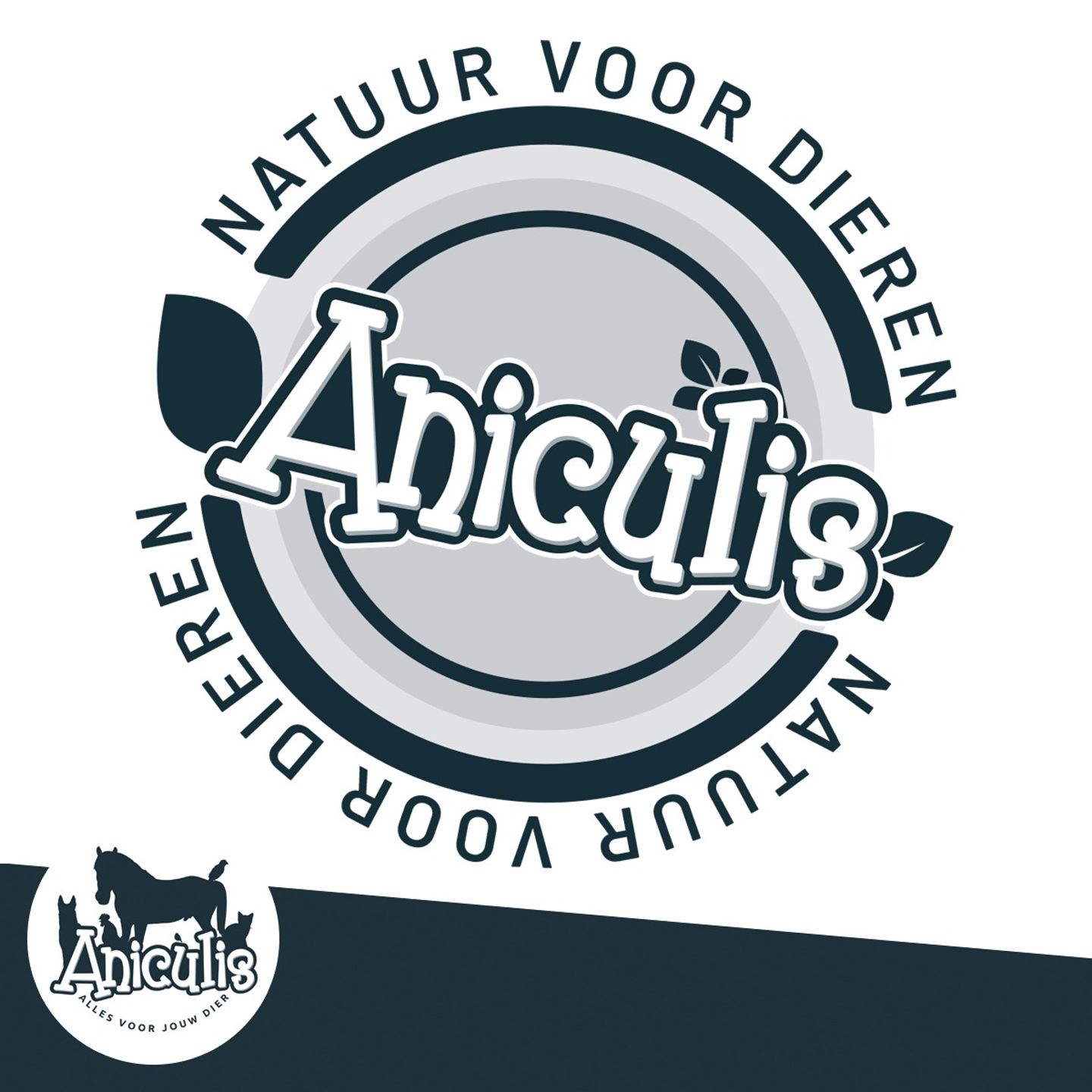 aniculis-story-3.jpg