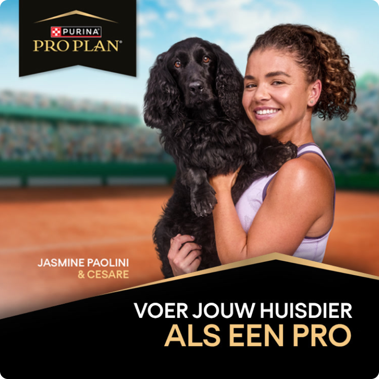 Tennisspeelster-houdt-zwarte-hond-vast-op-tennisbaan-met-Purina-Pro-Plan-logo.png