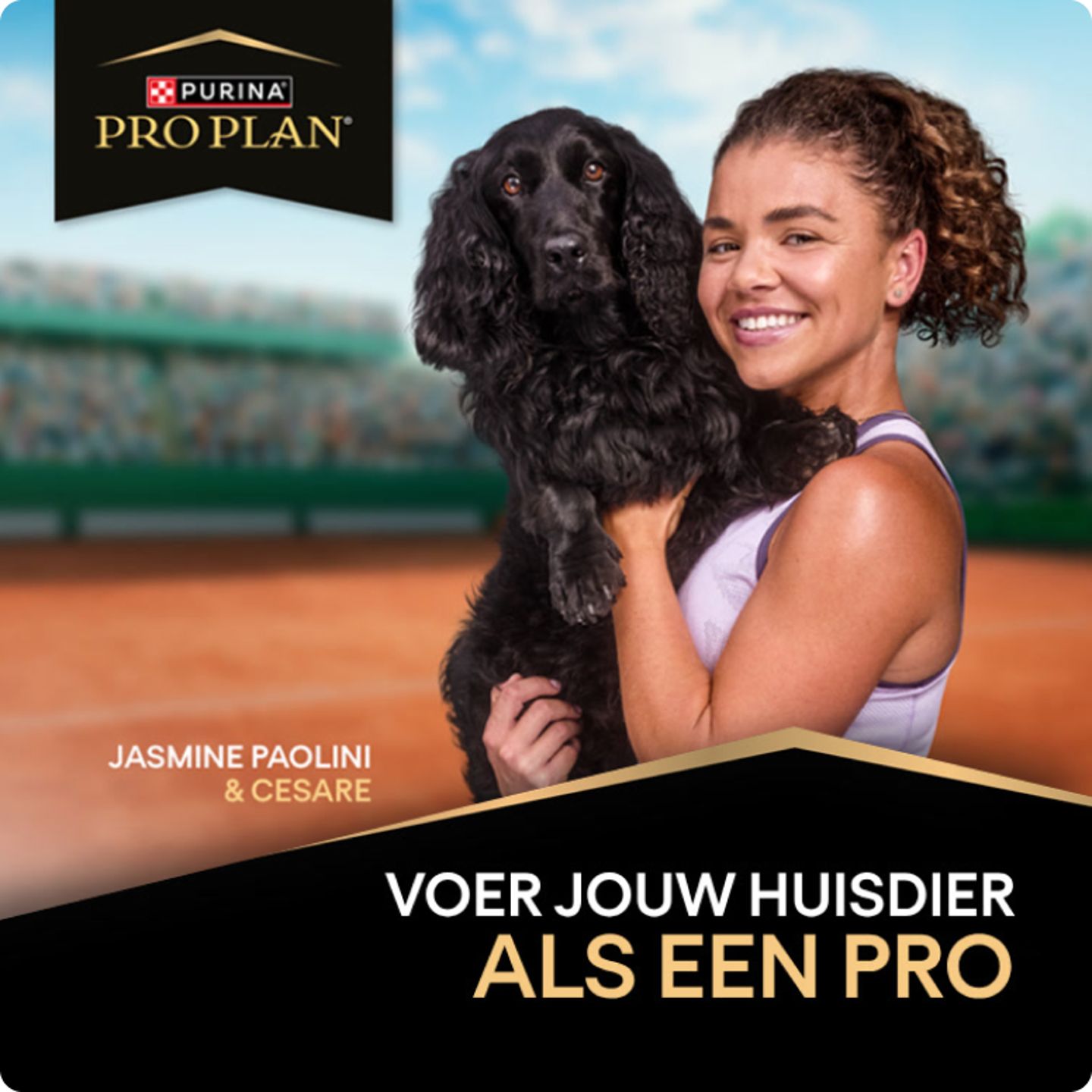 Tennisspeelster-houdt-zwarte-hond-vast-op-tennisbaan-met-Purina-Pro-Plan-logo.png