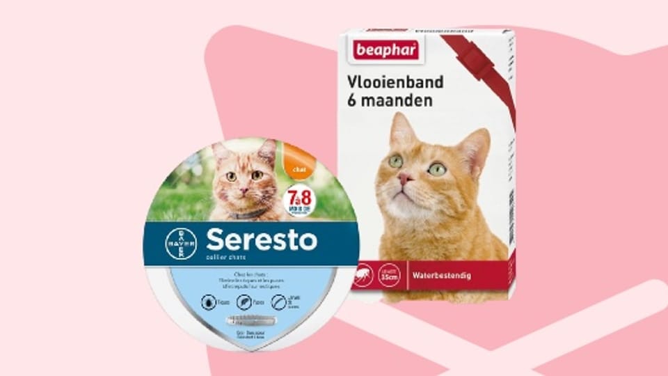 Vlooienband_Kat.jpg Vlooienband_Kat.jpg