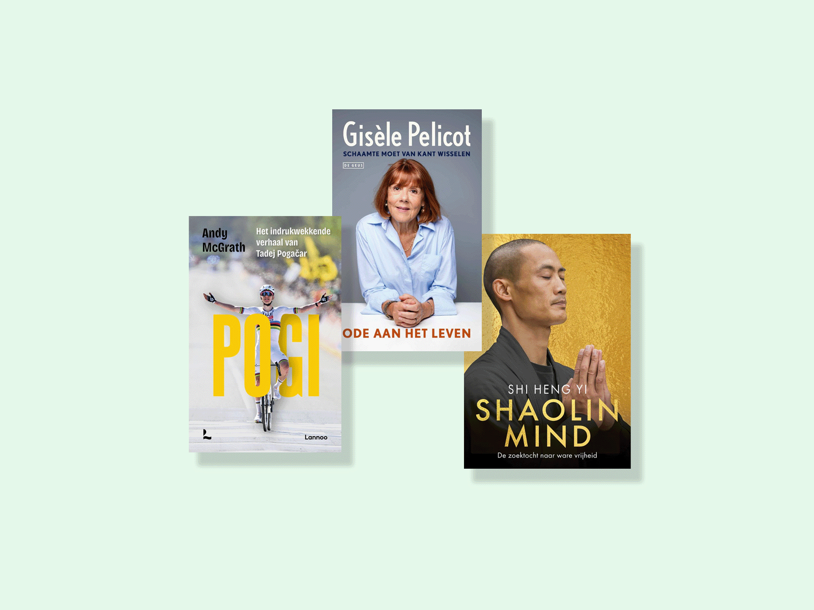 Niewe boeken biografie.png