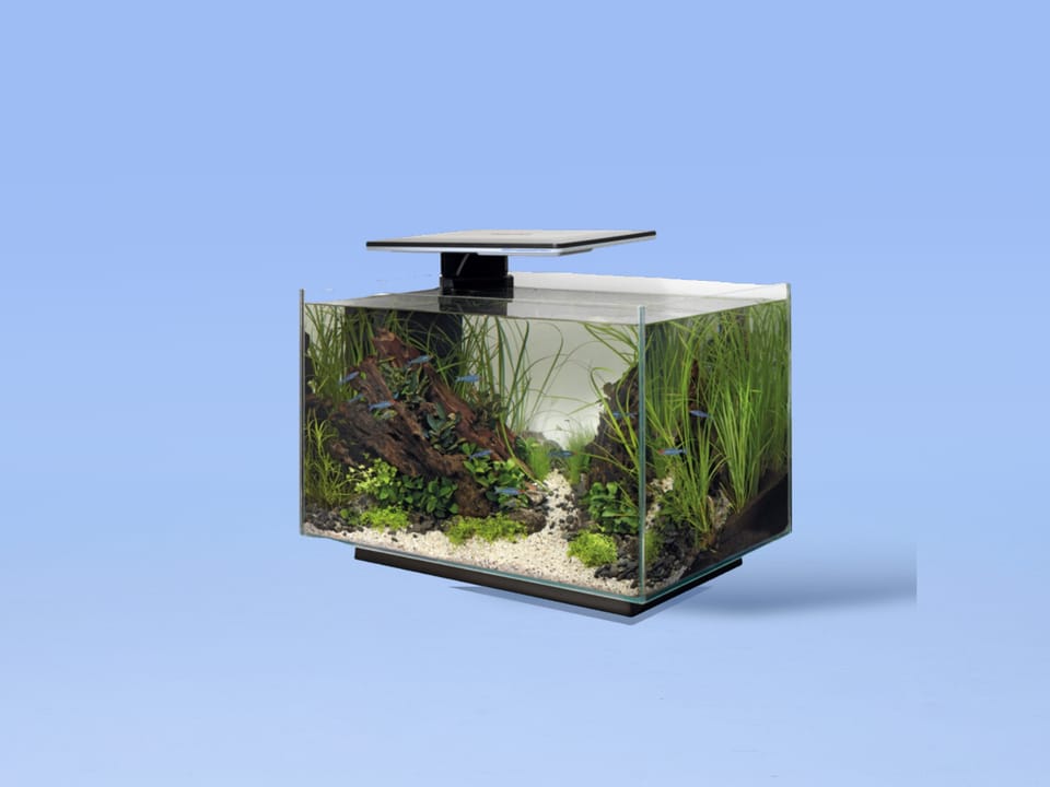 aquascape.png