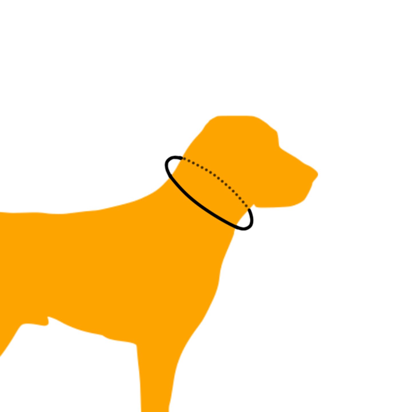 meteniswetennekomtrekzoomin.png