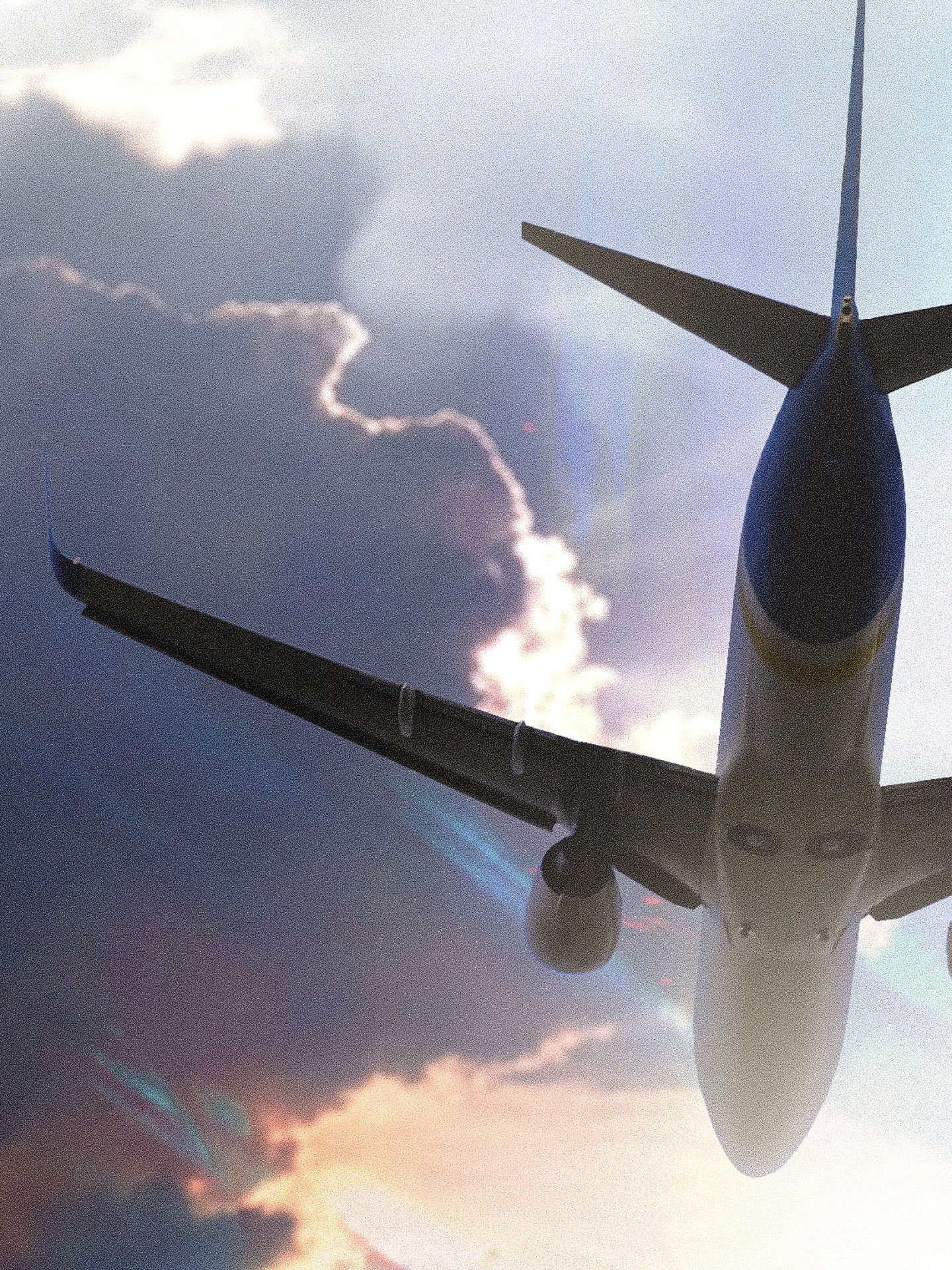 Project5-1440x1920-Flying.jpg