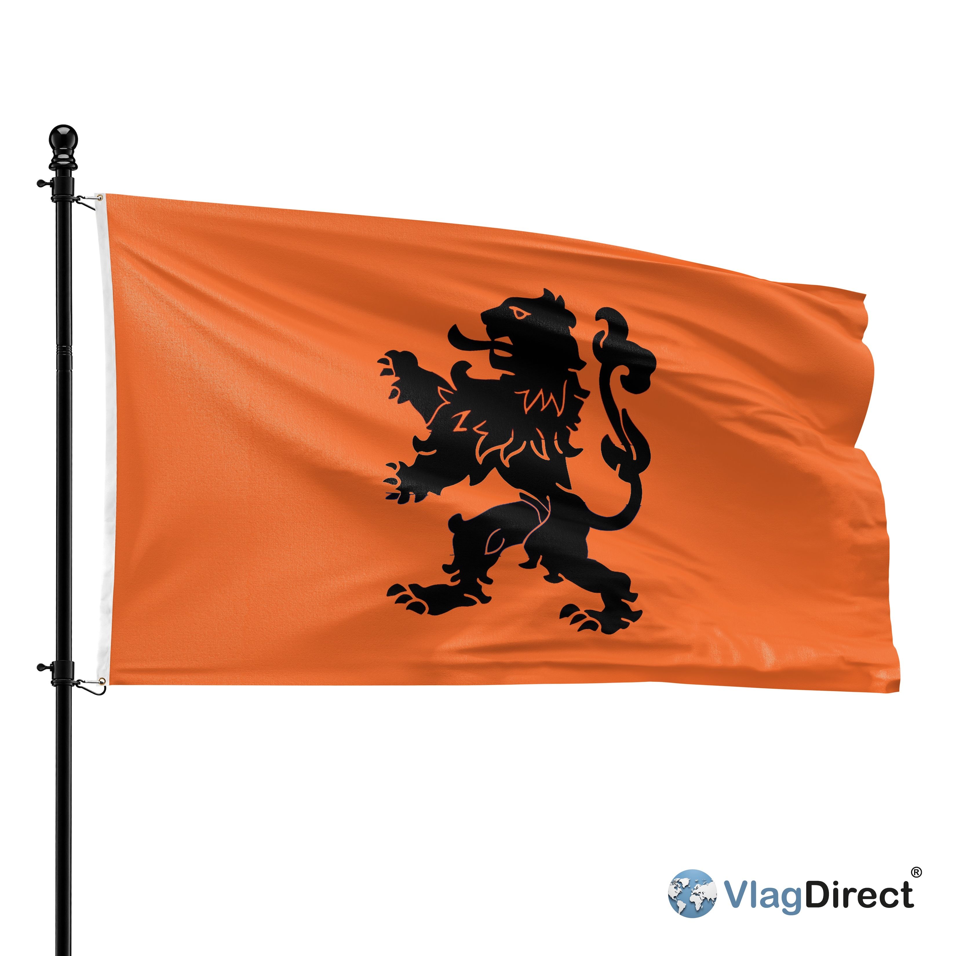 vlagdirect-product_spotlight-1.jpeg
