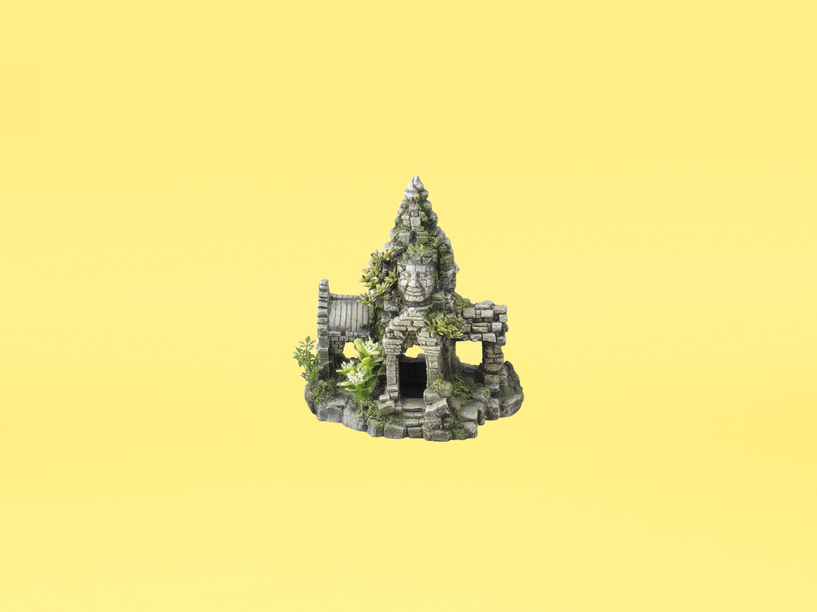 result_image.jpg