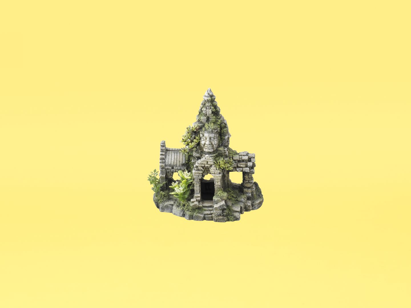 result_image.jpg