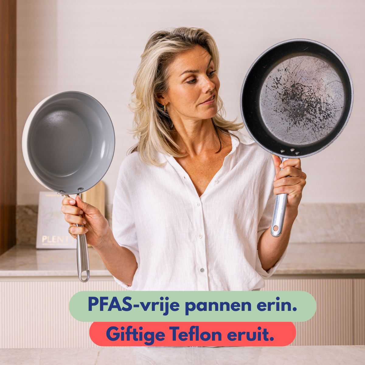 safecourt_kitchen-product_spotlight-3.png