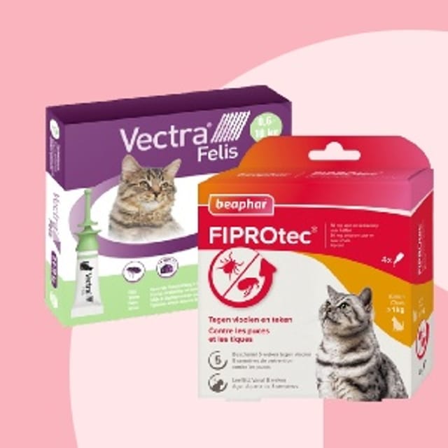 Kittenwinkel_Vlooienmiddel.jpg Kittenwinkel_Vlooienmiddel.jpg