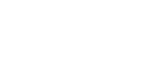 vidaxl