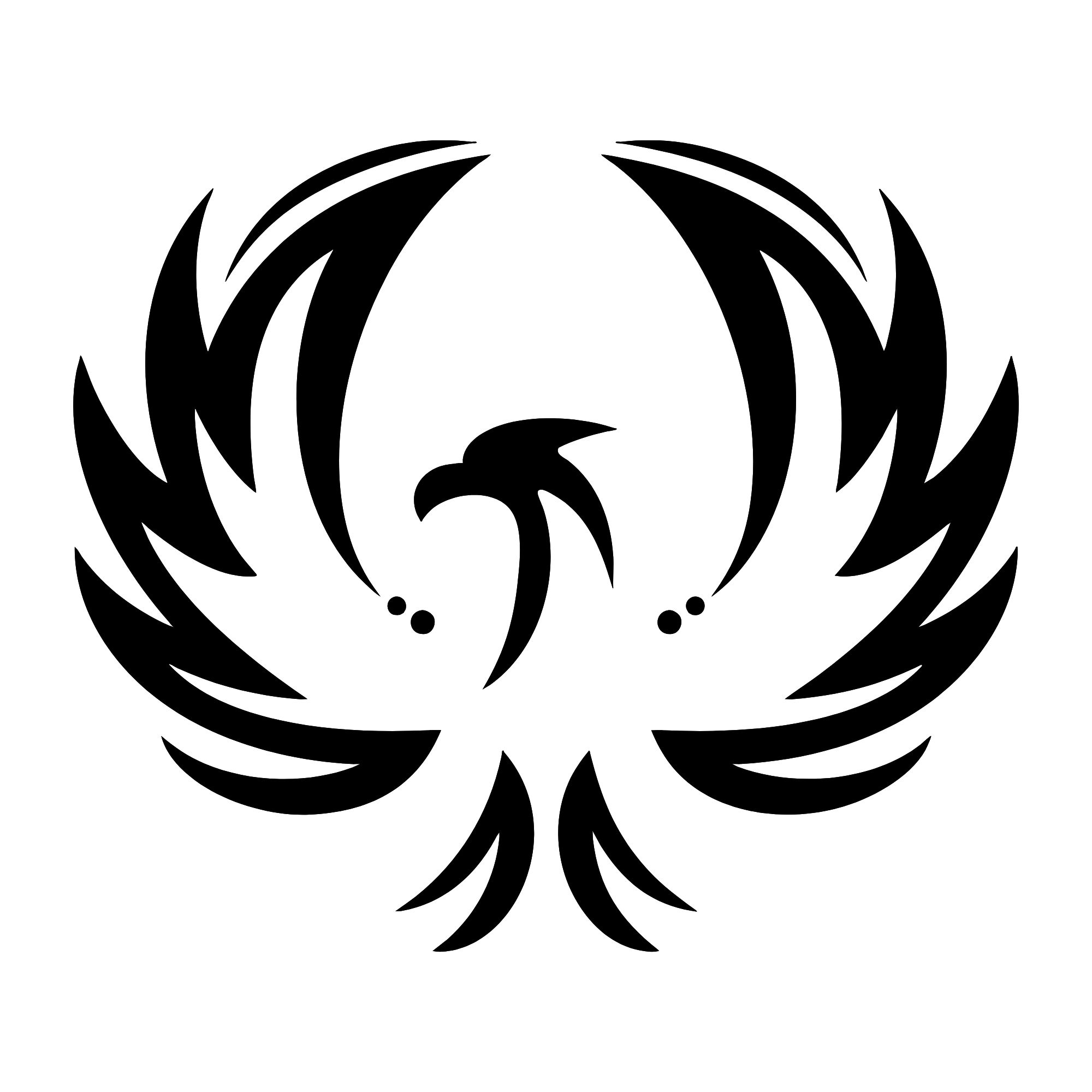 phoenix_hair_products