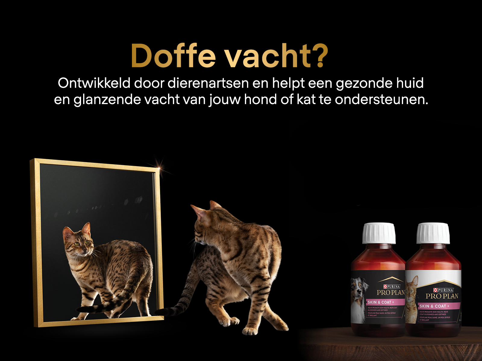 168377-PURINA_-PRO-PLAN_BOL_CATALOG-BANNER_1600x1200_(1).jpg
