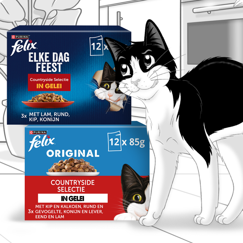 Zwarte-kat-naast-verpakkingen-van-Felix-kattenvoer-met-afbeeldingen.png