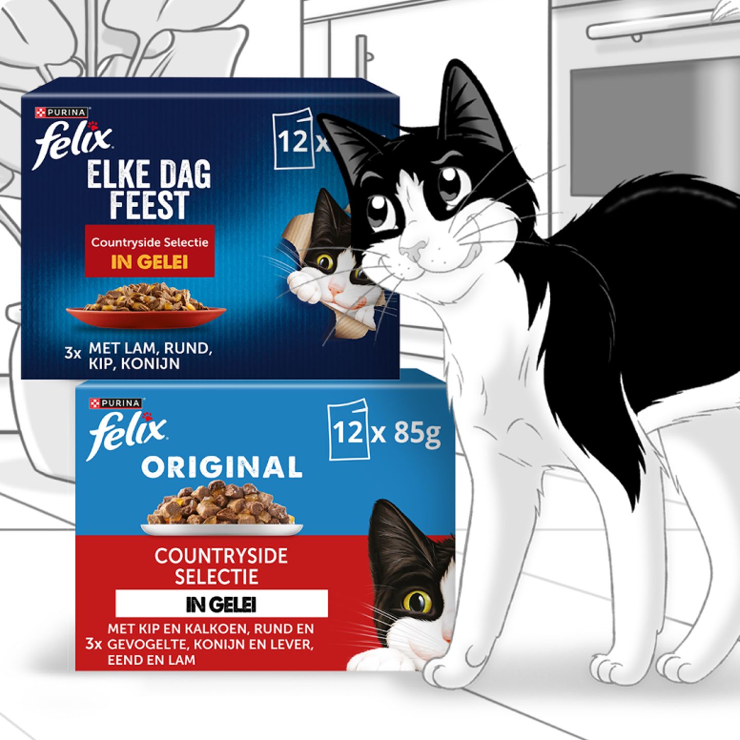 Zwarte-kat-naast-verpakkingen-van-Felix-kattenvoer-met-afbeeldingen.png