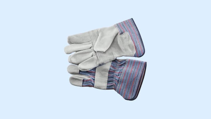 Handschoen.jpg Handschoen.jpg