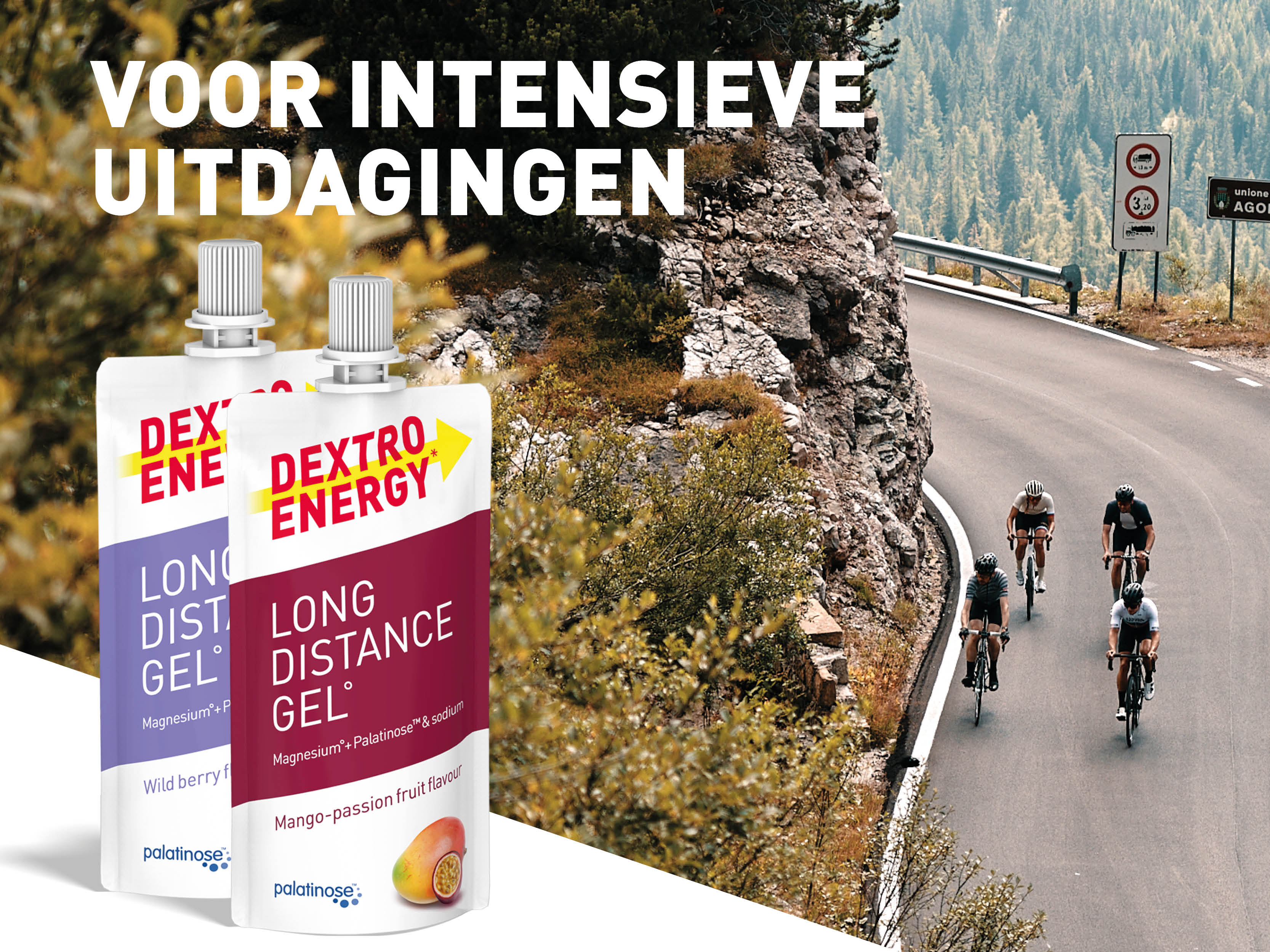 Long Distance_Banner_Bol 1600x1200.jpg.png