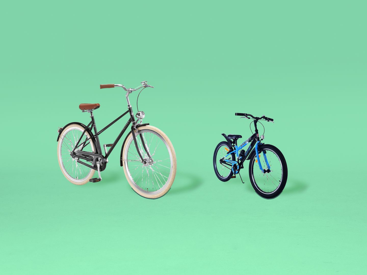 normale fiets.png