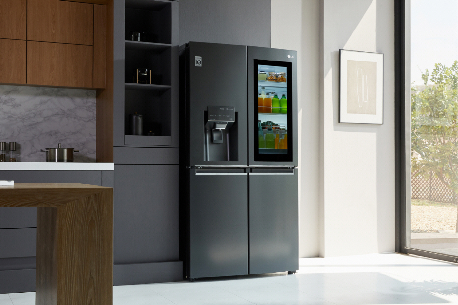 lg door-in-door.jpg