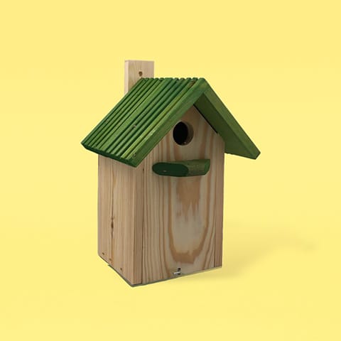 Tuin