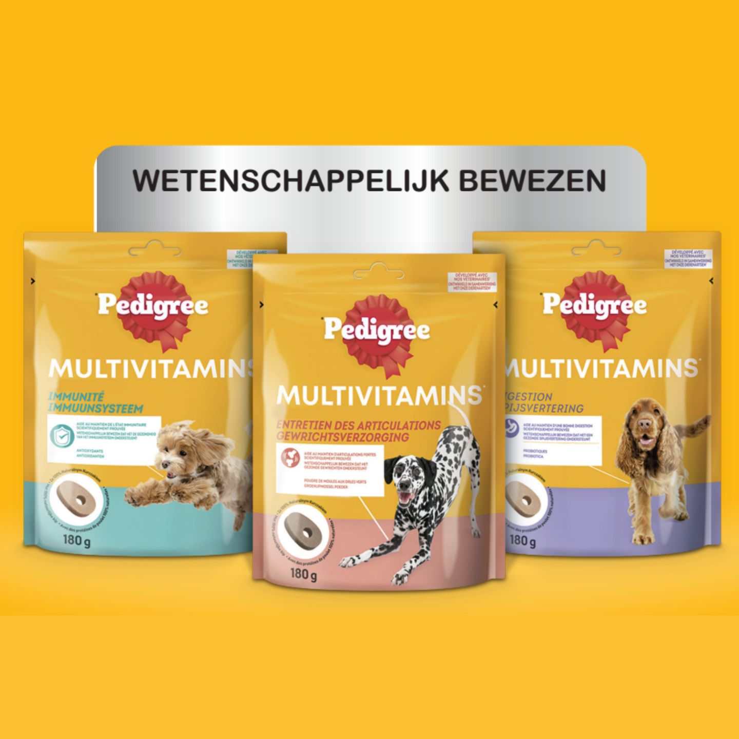 Multivitamins Pedigree visual.png