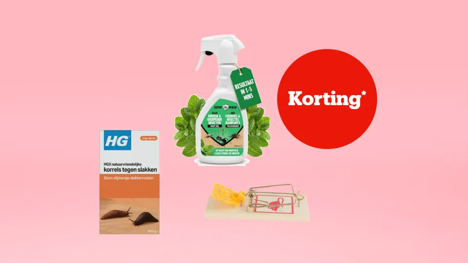 Insecten & ongedierten kortingen.png Insecten & ongedierten kortingen.png
