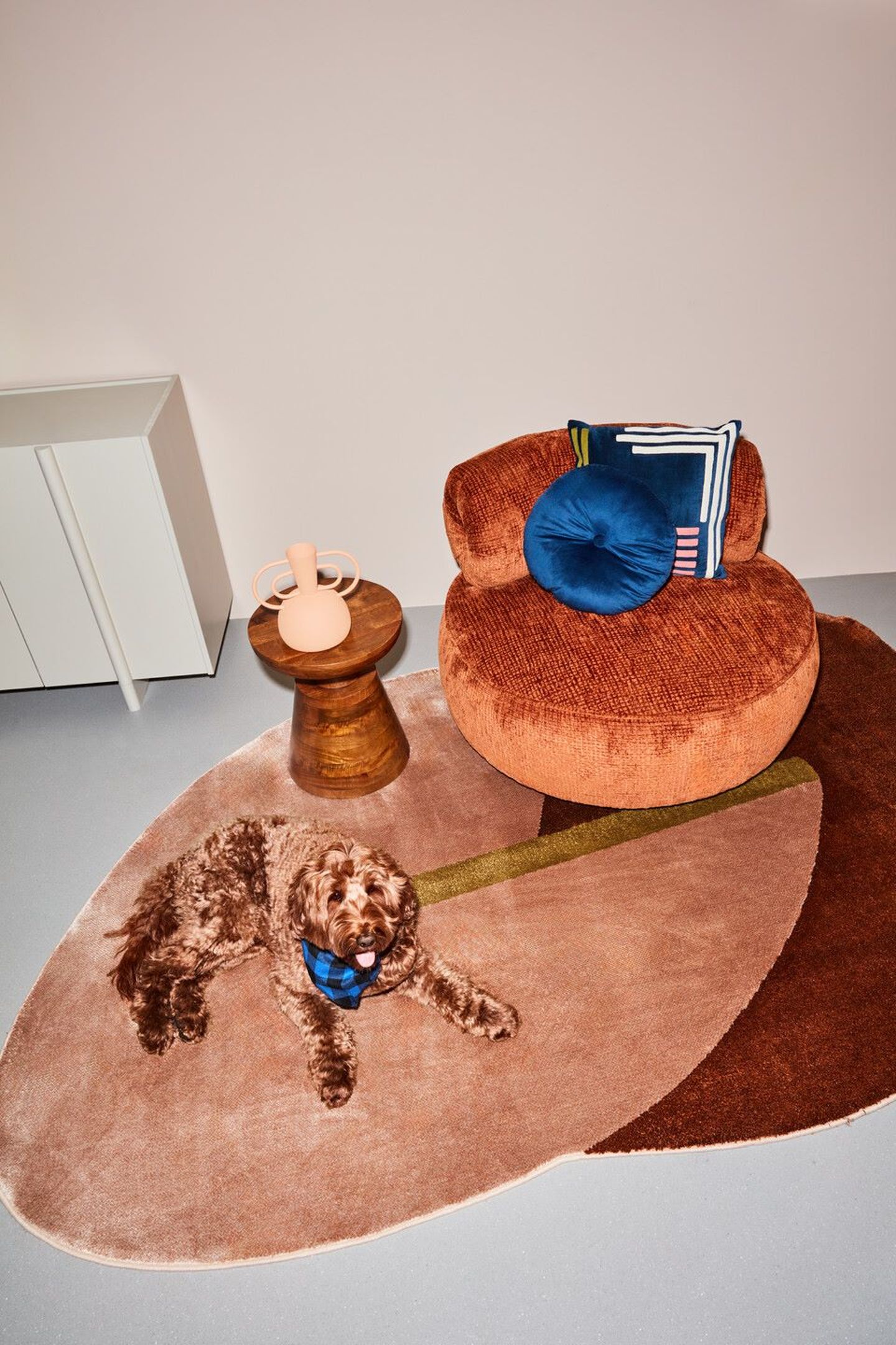 Schoonmaken vloerkleed.jpg