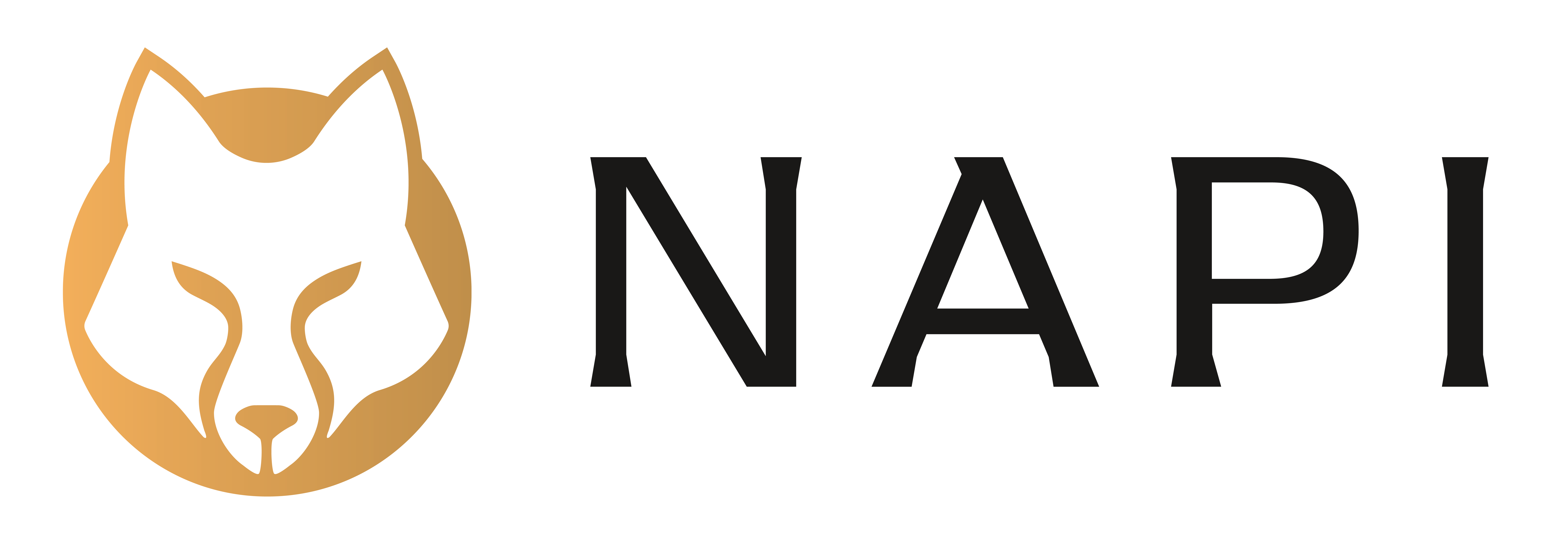 NAPI | bol