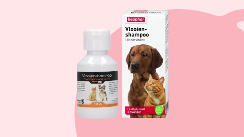 Vlooienshampoo_Hond.jpg Vlooienshampoo_Hond.jpg