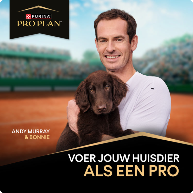 Andy-Murray-houdt-een-bruine-hond-vast-op-een-tennisbaan-met-Pro-Plan-logo.png