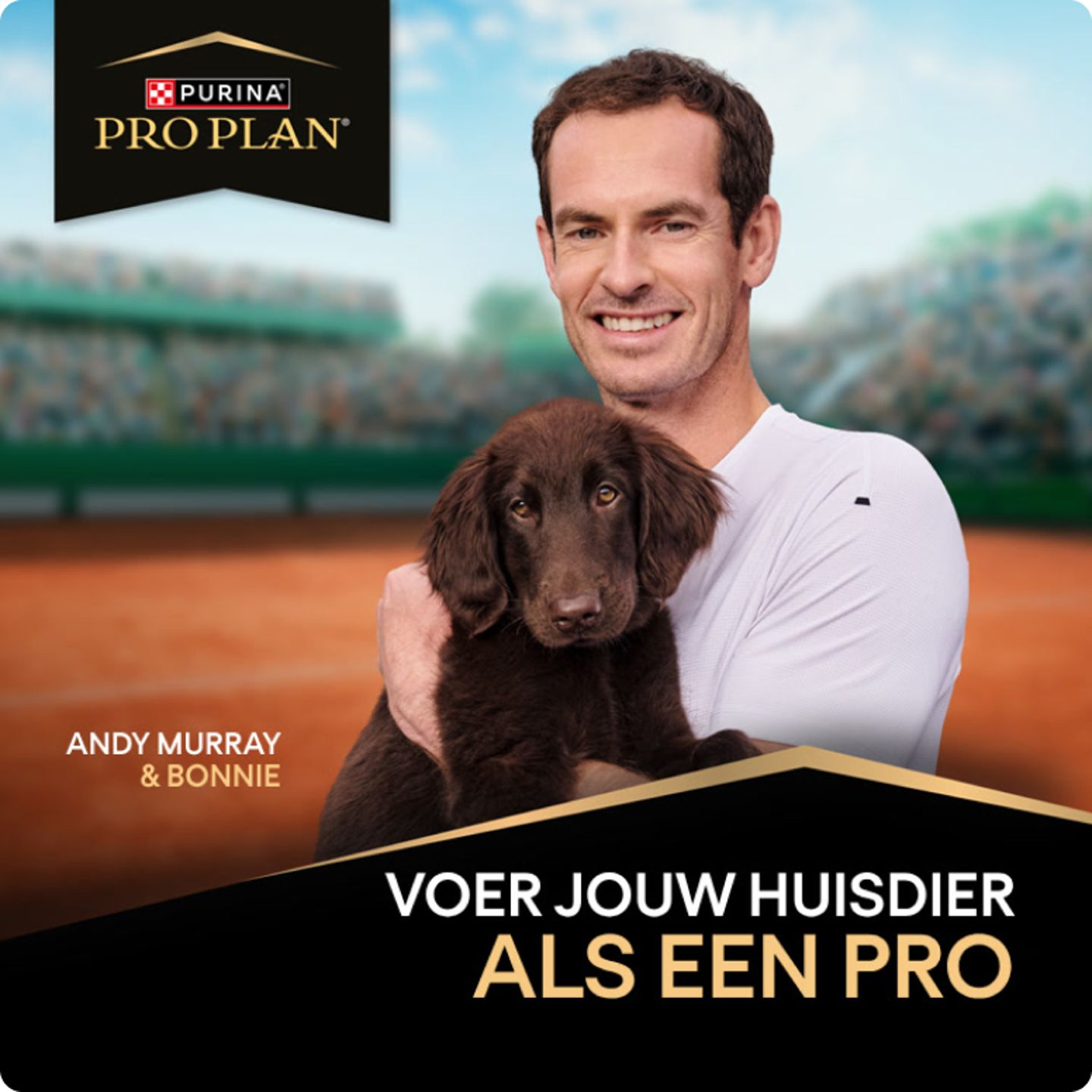 Andy-Murray-houdt-een-bruine-hond-vast-op-een-tennisbaan-met-Pro-Plan-logo.png