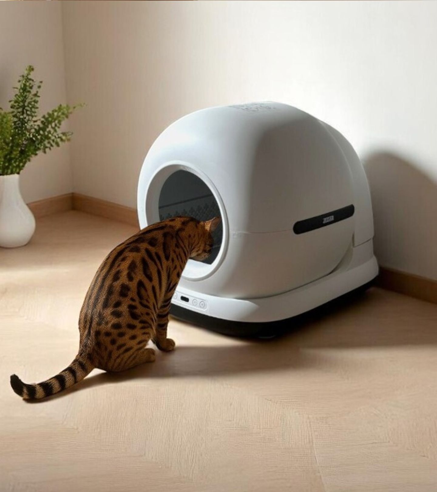 Editorial kattenbak.jpg