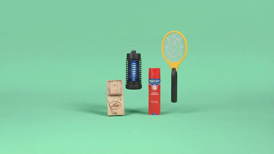 Insecten&ongedierte.png Insecten&ongedierte.png