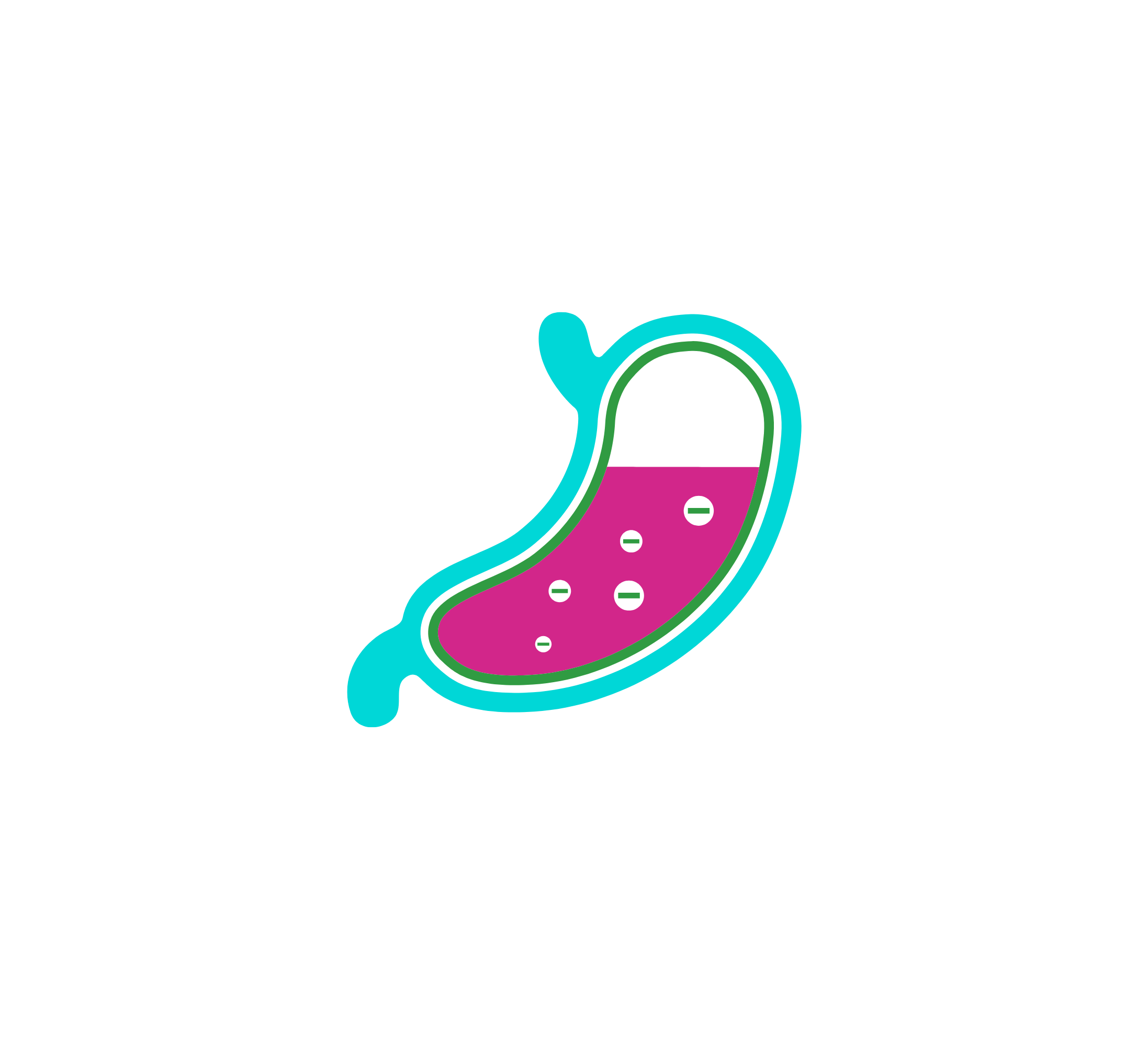 How GAVINatura works