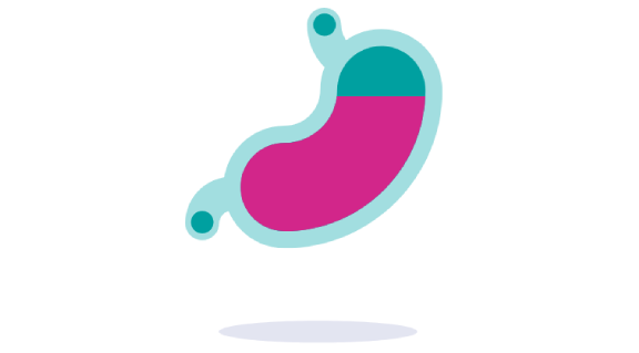 How Gaviscon Infant works?