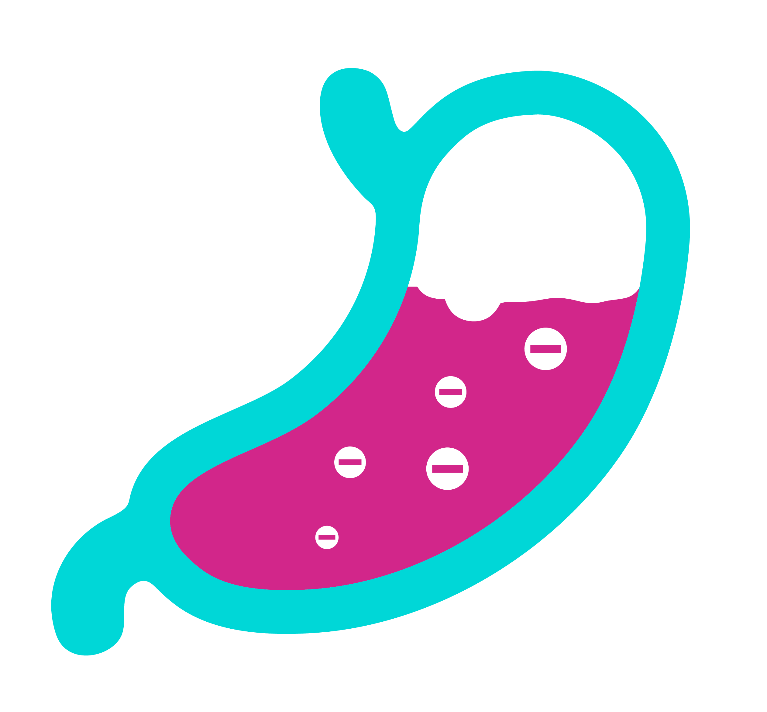 Cum acționează Gaviscon FORTE?