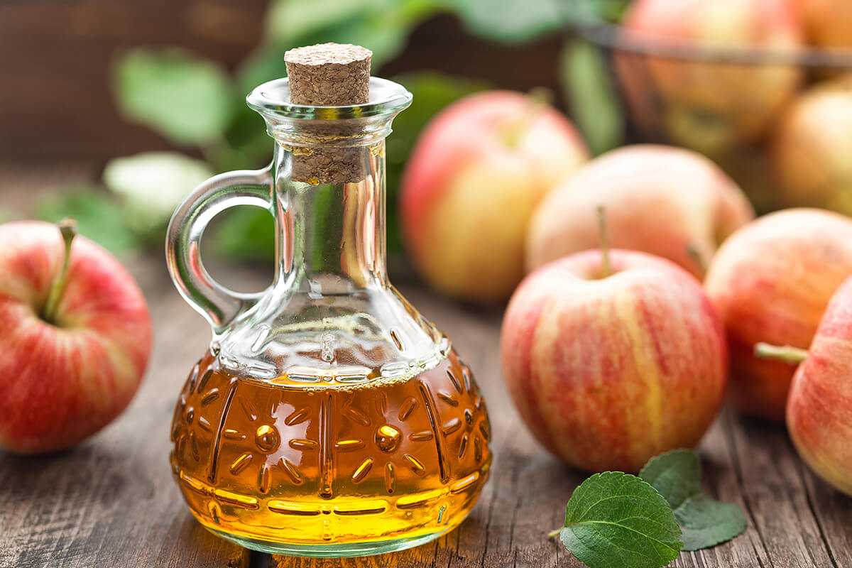 Elma Sirkesi İçmek