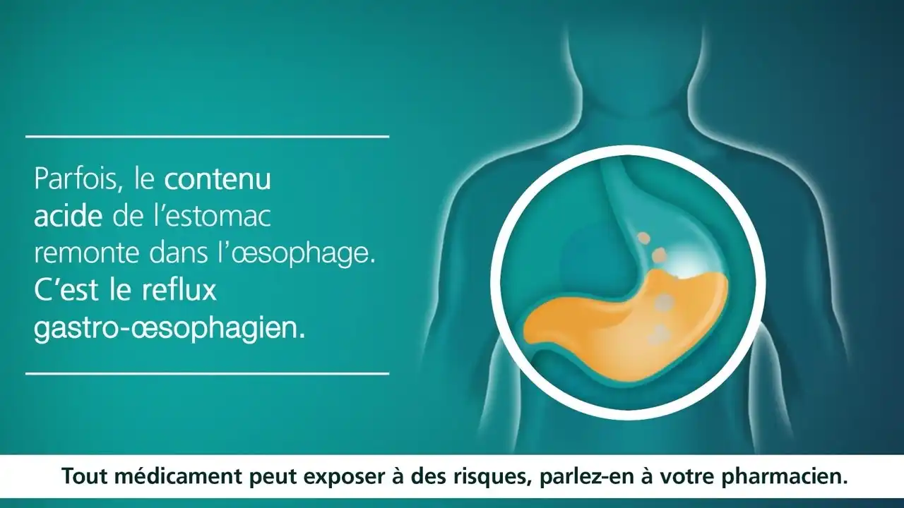 Mode d’action : Comment agit Gavisconell ?