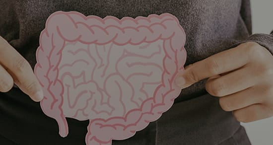 Persona sosteniendo un intestino de cartón