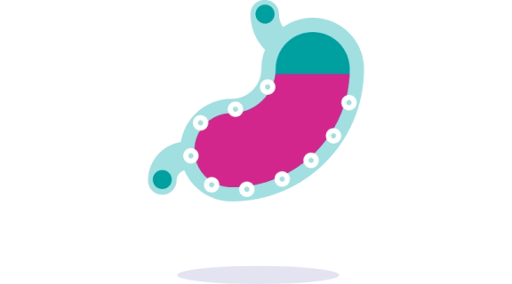 Guardium helps block acid pumps in your stomach