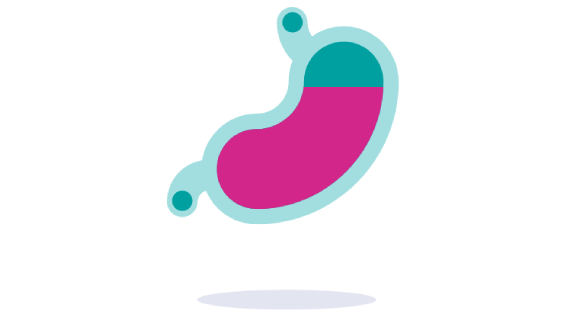 How Gaviscon Infant works?