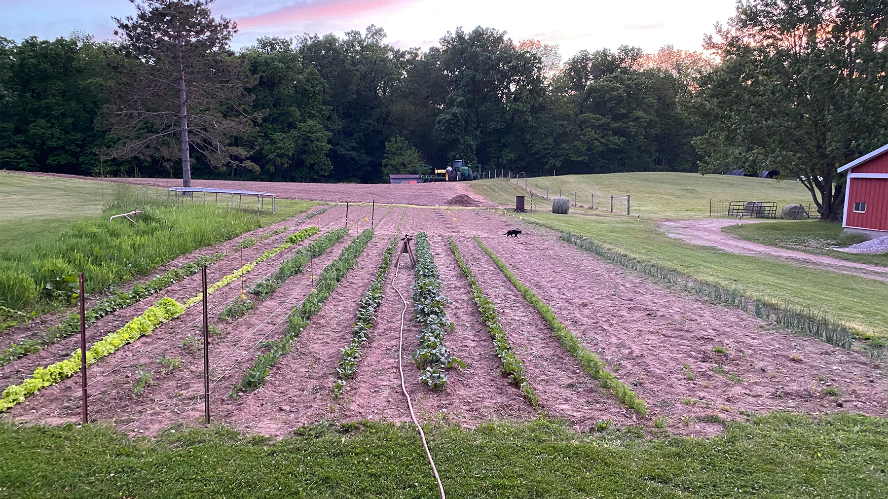 A garden on a farm